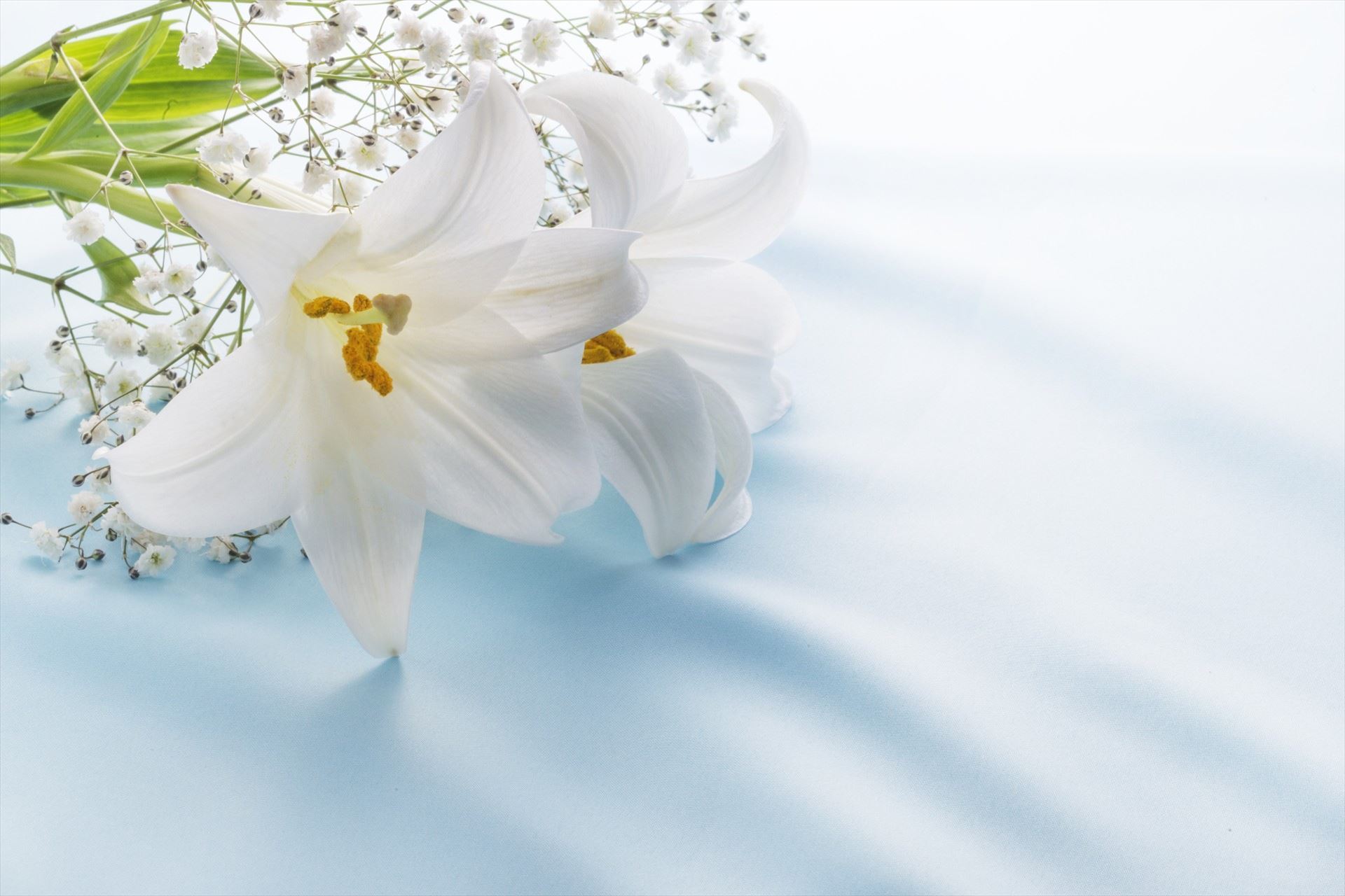 生花