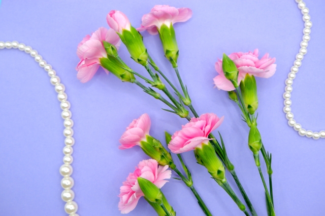 宇都宮市で心に残る葬儀プランを見つけよう